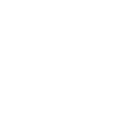 number-1-1.png